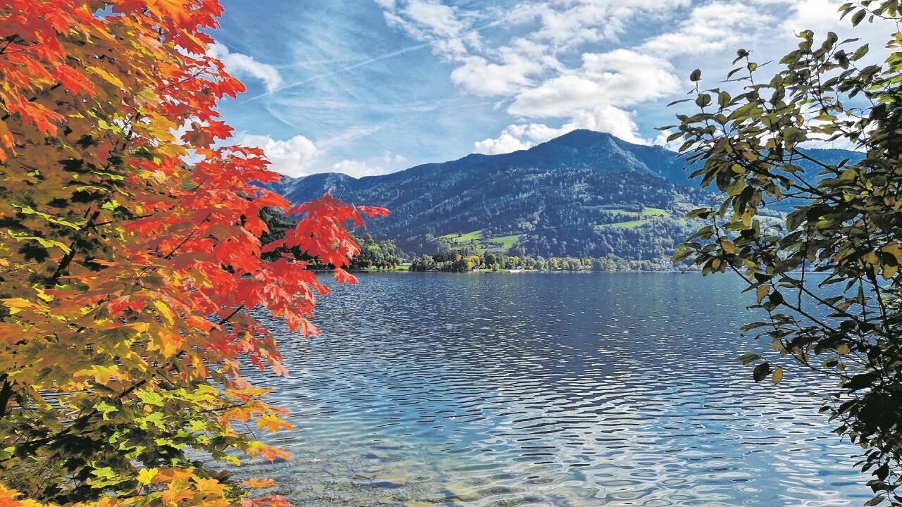 BILD:  eike krenslehner  BILD:  eike krenslehner