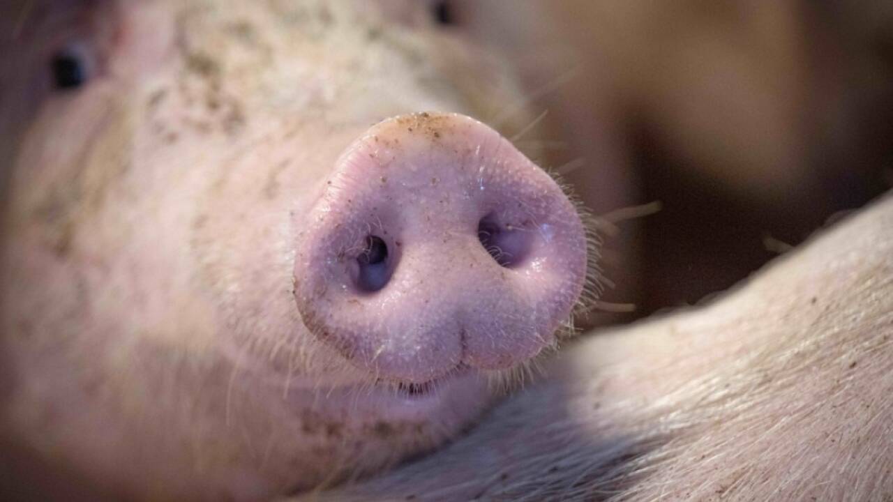 Der europäische Markt ist unter Druck  Der europäische Markt ist unter Druck