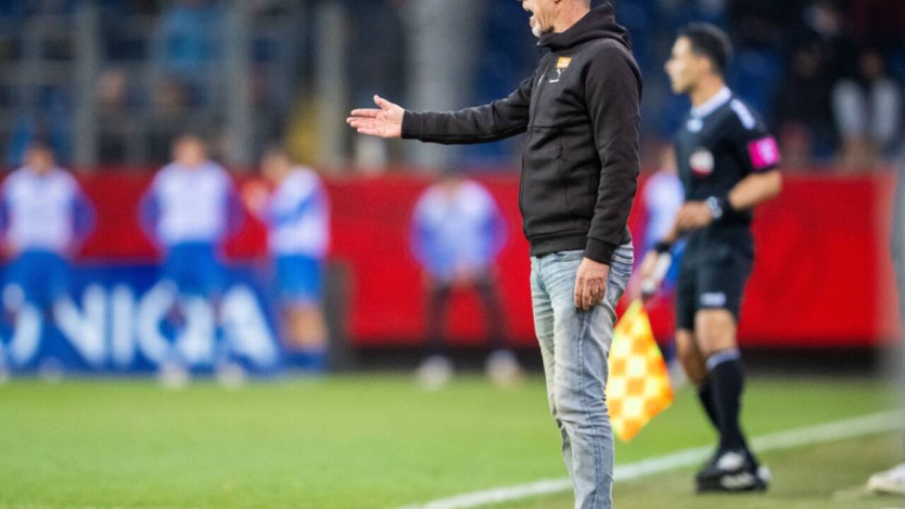 Stöger peilt mit Rapid Sieg gegen Sturm an  Stöger peilt mit Rapid Sieg gegen Sturm an