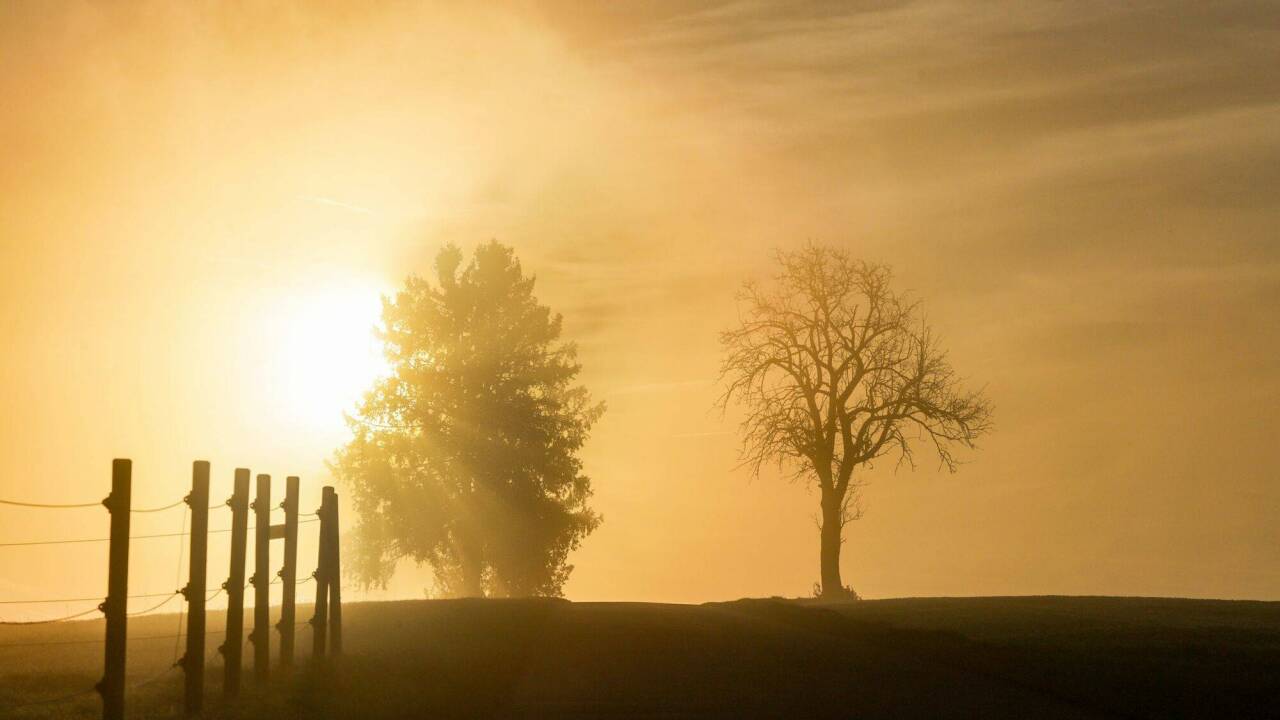 Nach der Kaltfront wird es für November noch einmal warm. (Symbolbild) 