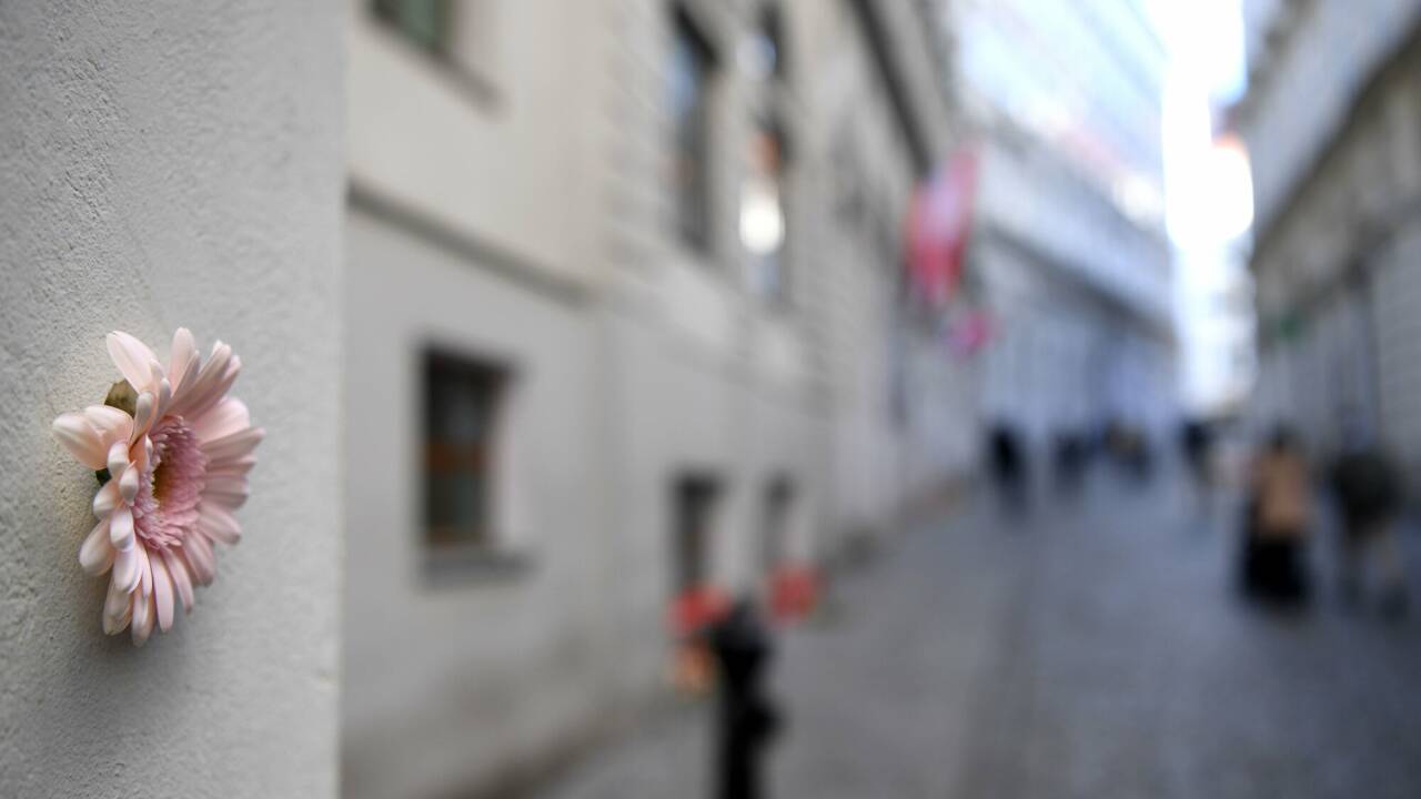 Eine Blume in einem Einschussloch im Bereich des Tatorts in der Seitenstettengasse in der Wiener Innenstadt am Donnerstag, 5. November 2020. Eine Blume in einem Einschussloch im Bereich des Tatorts in der Seitenstettengasse in der Wiener Innenstadt am Donnerstag, 5. November 2020.