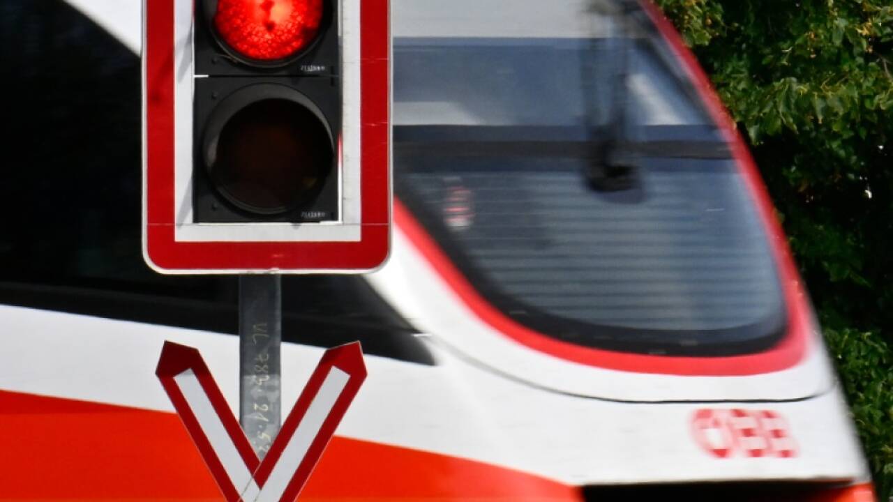 Der Fußgänger dürfte das Rotlicht am Bahnübergang missachtet haben  Der Fußgänger dürfte das Rotlicht am Bahnübergang missachtet haben
