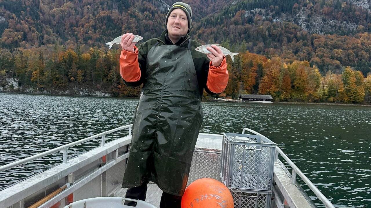 Marcus Schützinger hat als Pächter die Berufsfischerei von Nikolaus und Elfriede Höplinger übernommen.  Marcus Schützinger hat als Pächter die Berufsfischerei von Nikolaus und Elfriede Höplinger übernommen.