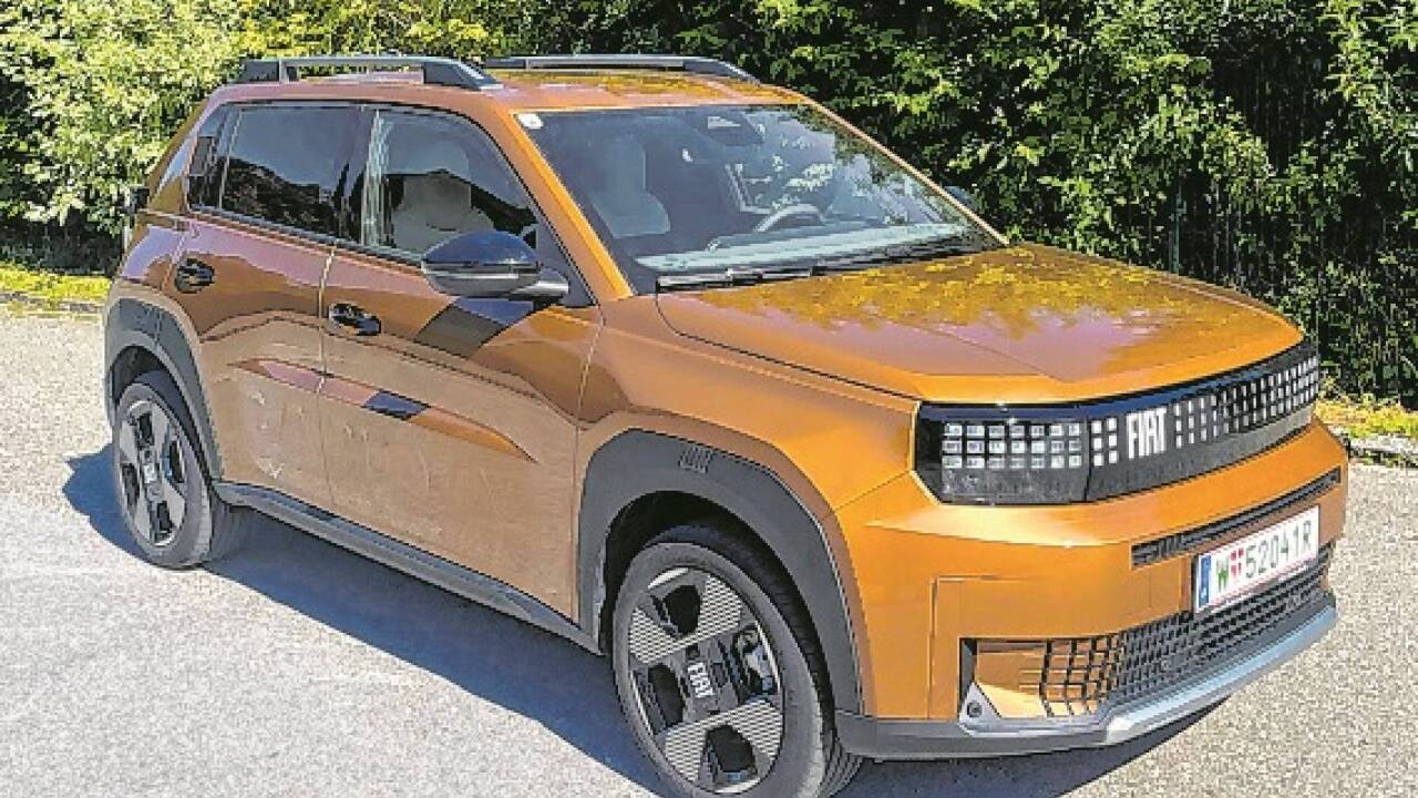 Ein günstiger Hingucker: der Fiat Grande Panda. Ein günstiger Hingucker: der Fiat Grande Panda.