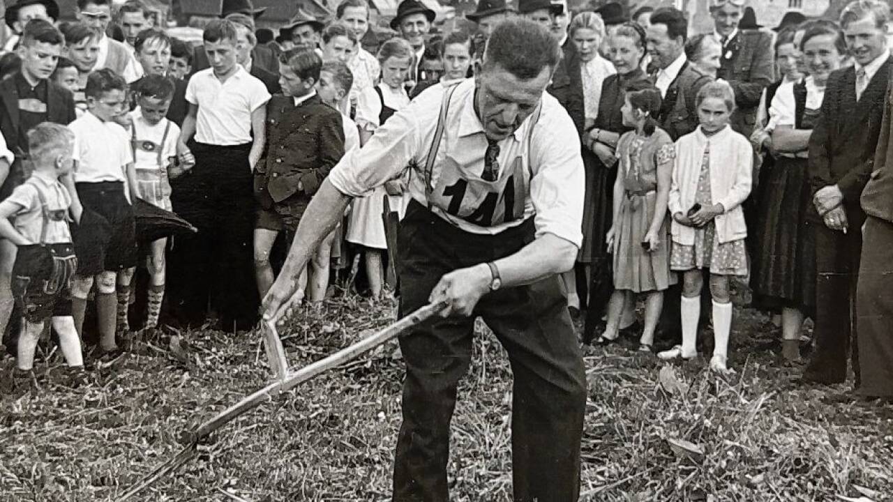 Der damalige Abtenauer Bürgermeister Heinrich Rettenbacher beim Sensenmähen in den 190er-Jahren.  