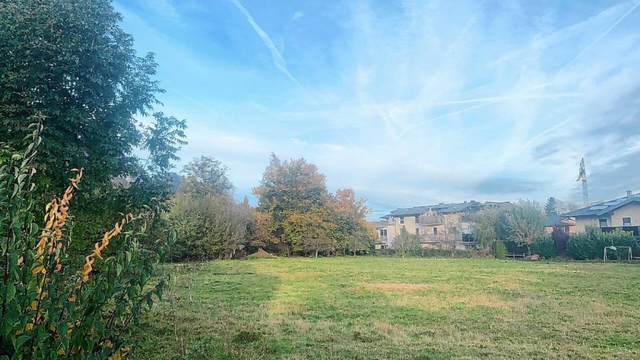 „Grüne Wiese oder Wohnbau am Ringweg?“ Diese Frage polarisiert sowohl die Rifer Bevölkerung als auch die Halleiner Stadtpolitik. 