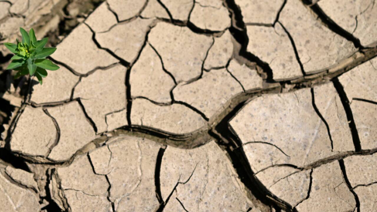 Umfrage: Ein Großteil der Bevölkerung nimmt die Klimakrise ernst 