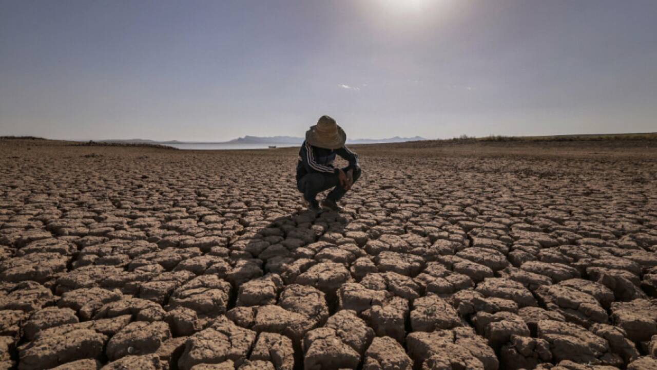 2024 wurden noch 3,1 Grad prognostiziert 2024 wurden noch 3,1 Grad prognostiziert