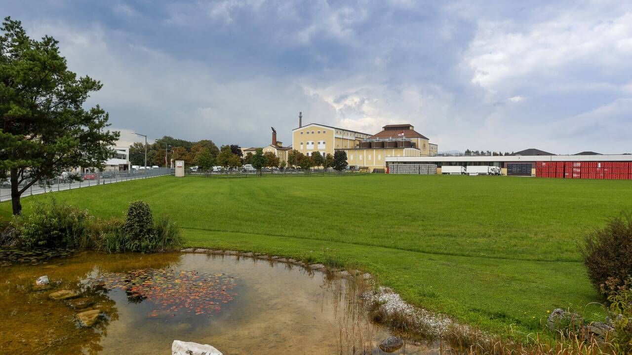 Um diese grüne Fläche in Salzburg-Maxglan wird gerungen: Die Stieglbrauerei will sie als Baulandreserve für den Betrieb zurückhalten. Um diese grüne Fläche in Salzburg-Maxglan wird gerungen: Die Stieglbrauerei will sie als Baulandreserve für den Betrieb zurückhalten.