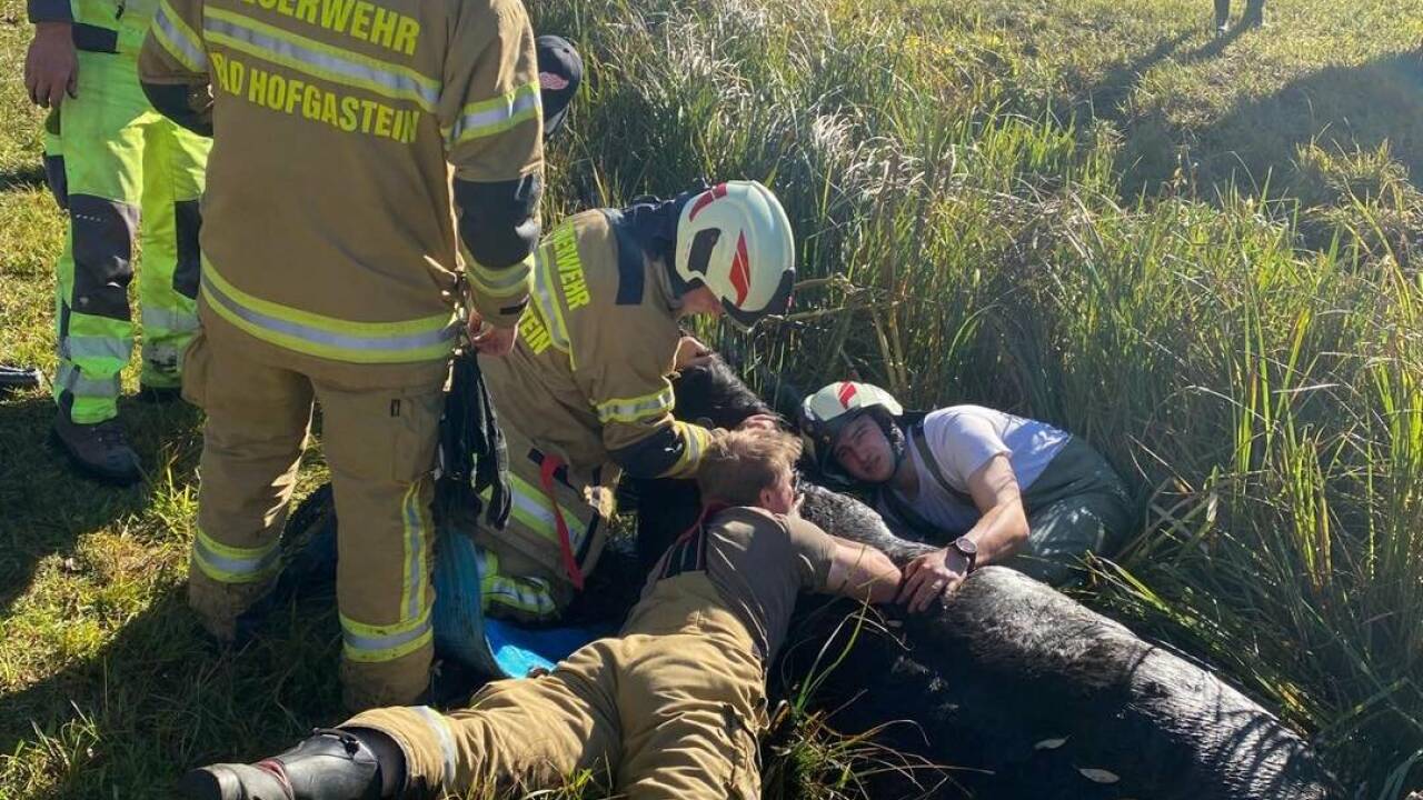 Schweißtreibender Einsatz für die Feuerwehr Bad Hofgastein. Schweißtreibender Einsatz für die Feuerwehr Bad Hofgastein.