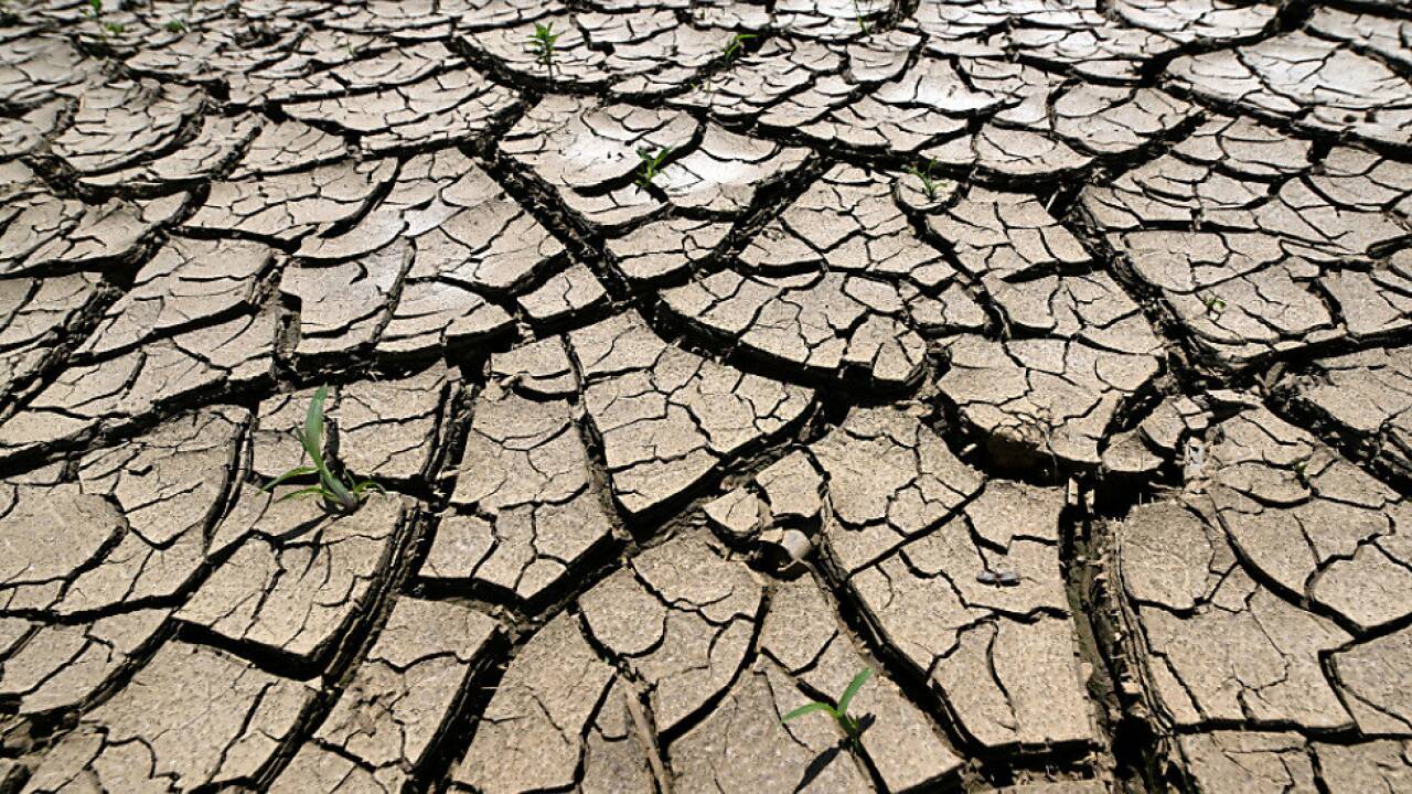 Symbolbild Symbolbild