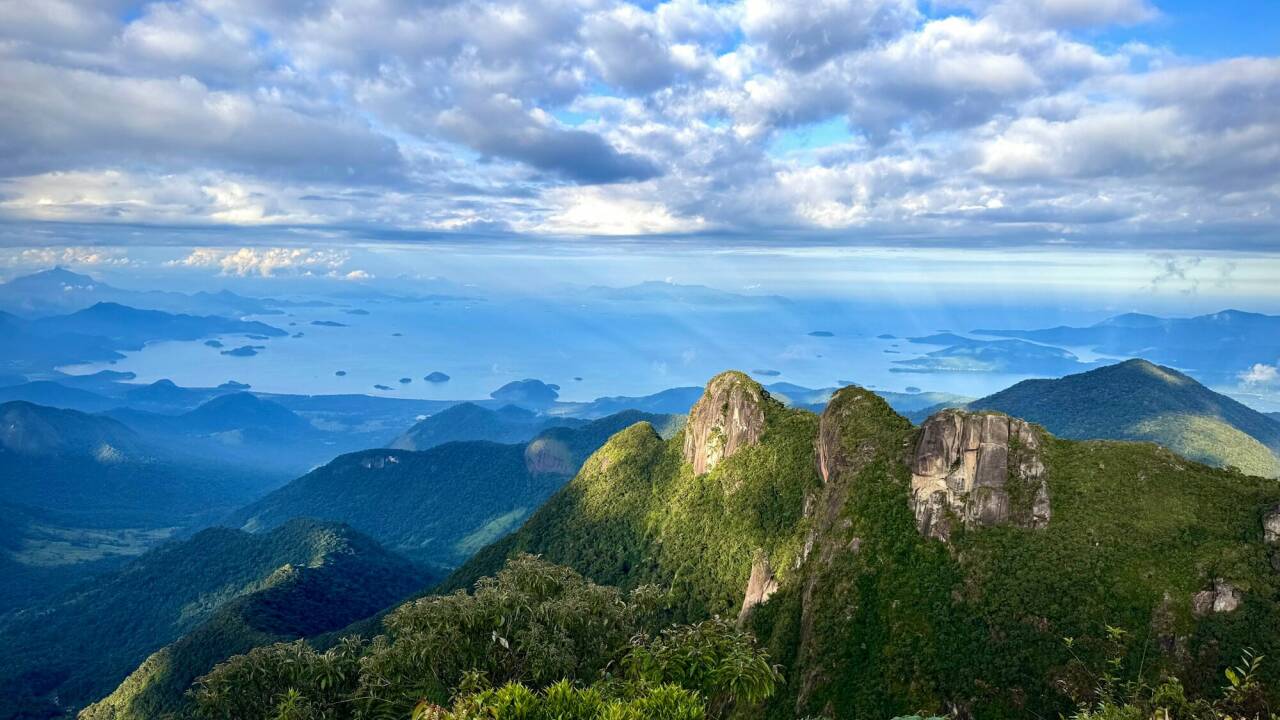 Brasilien gilt als eines der Länder mit der größten Biodiversität der Welt. 