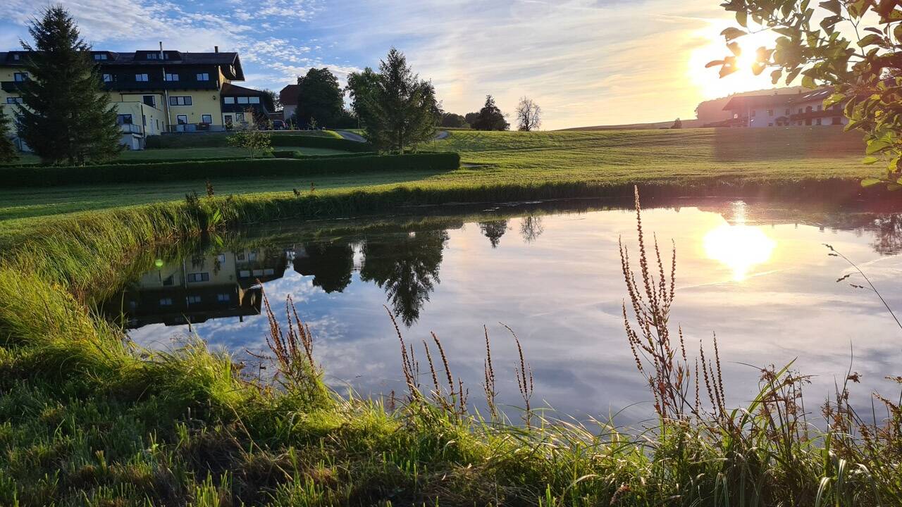 Ruhe ist unser Luxus, Entschleunigung unser Alltag: Es gibt sie noch, ein paar wenige unberührte Fleckchen. Das Landhotel Moorhof, rund um das Ibmer Moor, ist der Geheimtipp im Innviertel. Ruhe ist unser Luxus, Entschleunigung unser Alltag: Es gibt sie noch, ein paar wenige unberührte Fleckchen. Das Landhotel Moorhof, rund um das Ibmer Moor, ist der Geheimtipp im Innviertel.