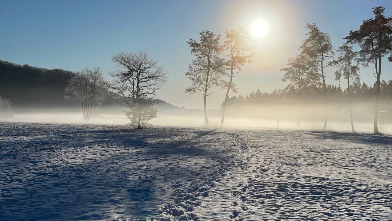 Ruhe ist unser Luxus, Entschleunigung unser Alltag: Es gibt sie noch, ein paar wenige unberührte Fleckchen. Das Landhotel Moorhof, rund um das Ibmer Moor, ist der Geheimtipp im Innviertel. Ruhe ist unser Luxus, Entschleunigung unser Alltag: Es gibt sie noch, ein paar wenige unberührte Fleckchen. Das Landhotel Moorhof, rund um das Ibmer Moor, ist der Geheimtipp im Innviertel.