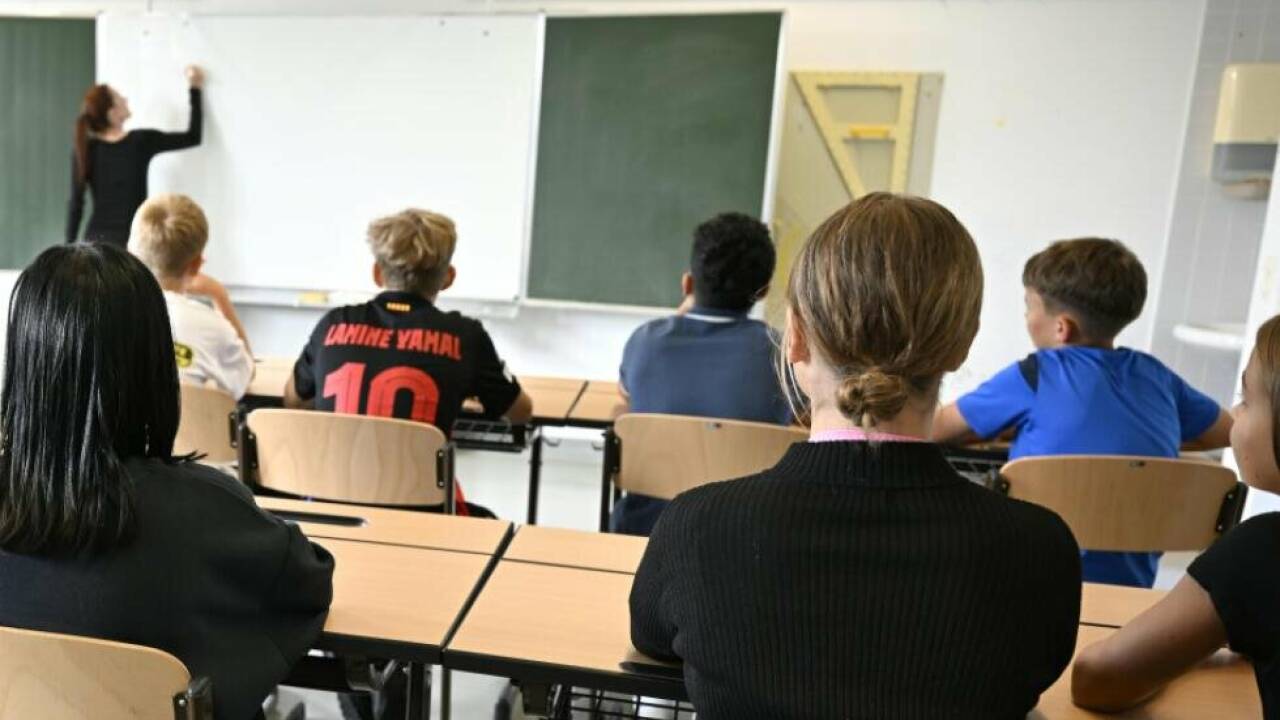 NGOs und Interessensvertretungen fordern ein inklusives Schulsystem NGOs und Interessensvertretungen fordern ein inklusives Schulsystem