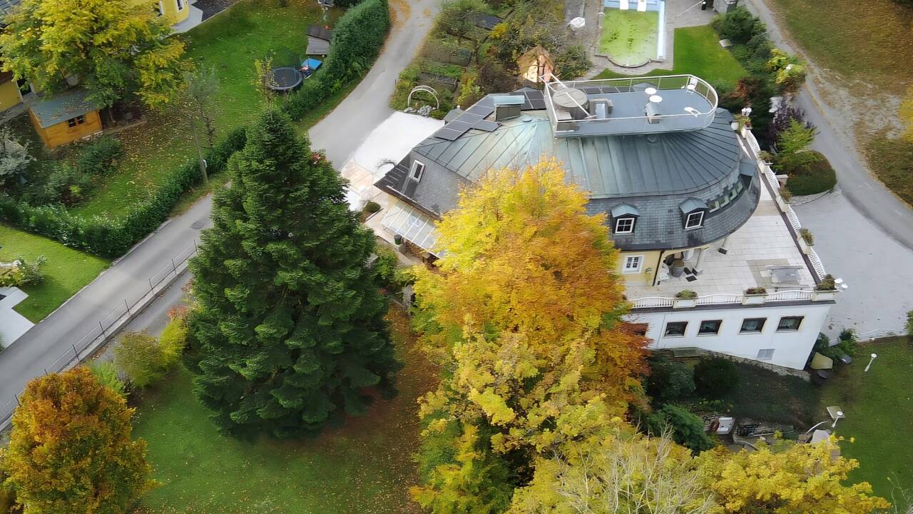 Hier ist die Tanne gewachsen: in einem privaten Garten in St. Jakob am Thurn (Gemeinde Puch). Hier ist die Tanne gewachsen: in einem privaten Garten in St. Jakob am Thurn (Gemeinde Puch).