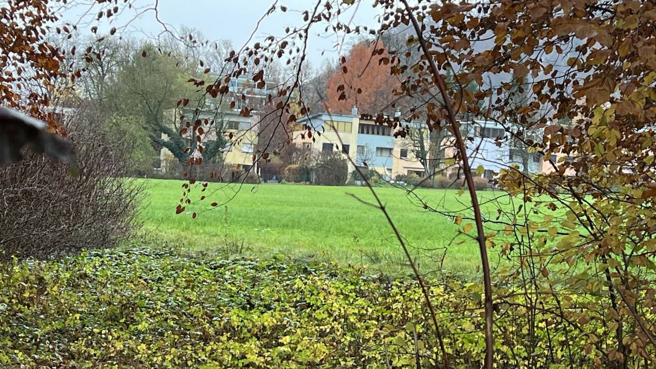 Auch diese unverbaute Wiese hinter dem Heffterhof in Salzburg-Parsch ist im aktuellen REK-Entwurf angeführt. 