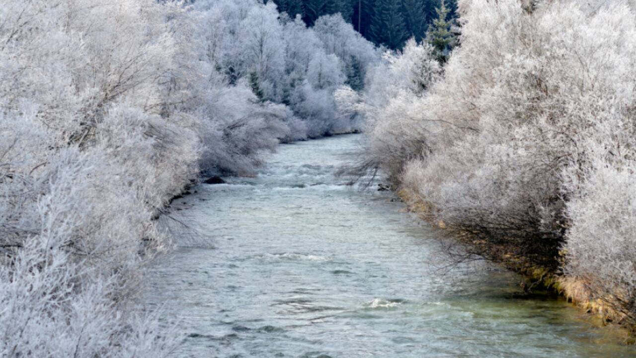 Slowenien-und-sterreich-renaturieren-an-der-Mur