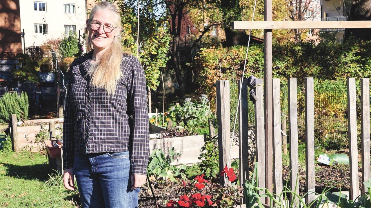 Der Gemeinschaftsgarten ist einer der Projekte die Hannah Weiß beim ABZ betreut.  