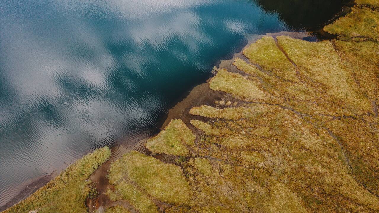 Am Ufer des Hintersees im Felbertal bei Mittersill. 