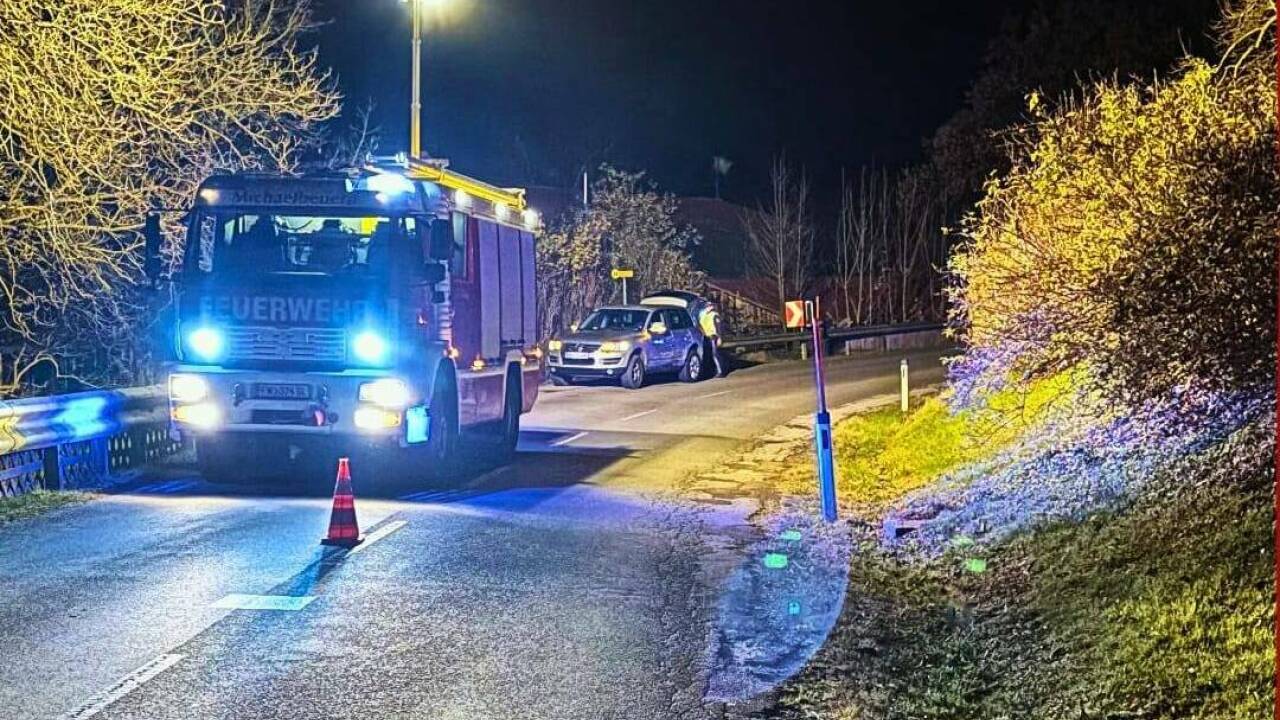 Während des Einsatzes wurde die L221 kurzzeitig gesperrt. 