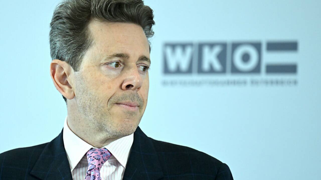 Harald Mahrer war seit 2018 WKO-Präsident. Harald Mahrer war seit 2018 WKO-Präsident.