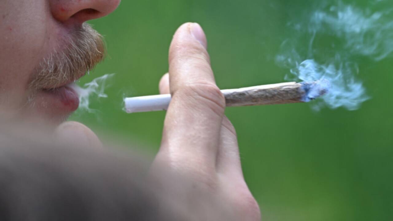 Mehrheit raucht Joints und ist männlich Mehrheit raucht Joints und ist männlich