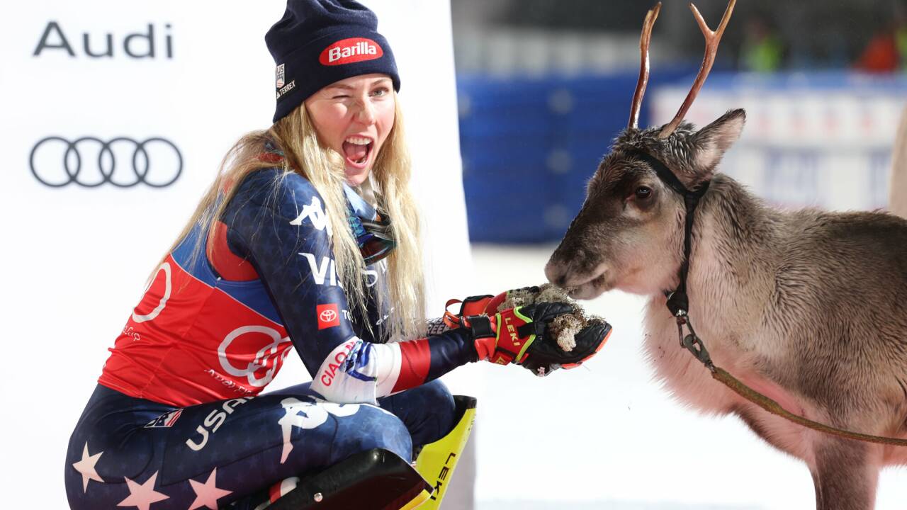 Mikaela Shiffrin nennt schon acht Rentiere in Levi ihr Eigen. 