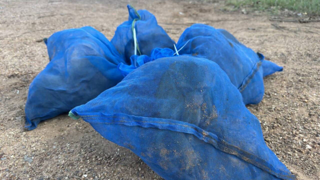 Die Tiere sollten in blaue Säcke verpackt außer Landes gebracht werden Die Tiere sollten in blaue Säcke verpackt außer Landes gebracht werden