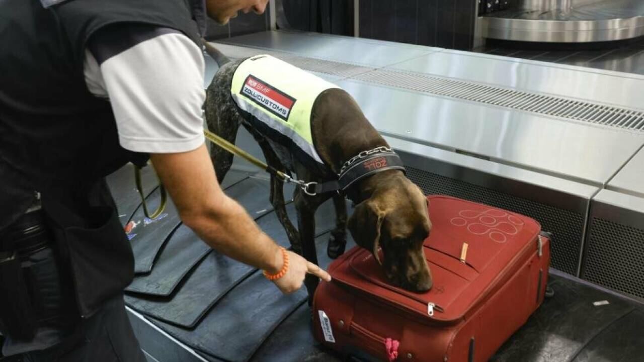 Mehr als 8.000 Kontrollen am Flughafen Mehr als 8.000 Kontrollen am Flughafen