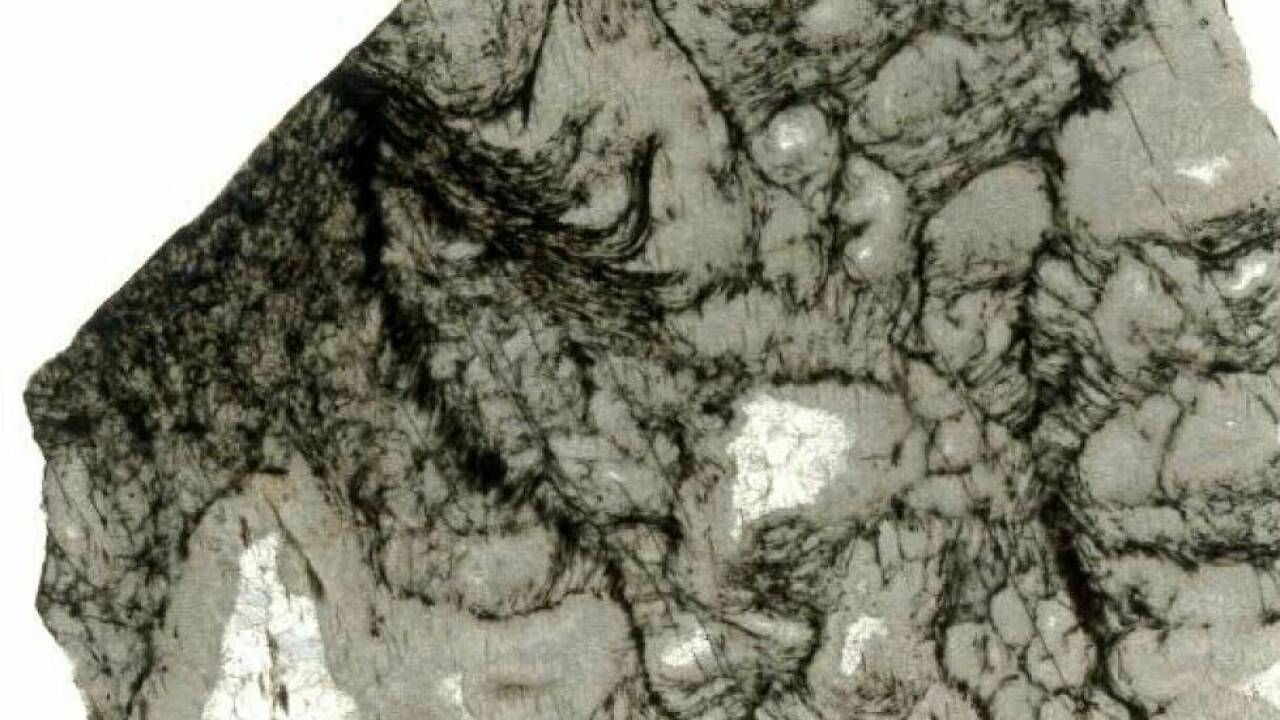 Schwarze Strukturen im Gestein wurden von Mikroorganismen vor 2,5 Mrd. Jahren hinterlassen 