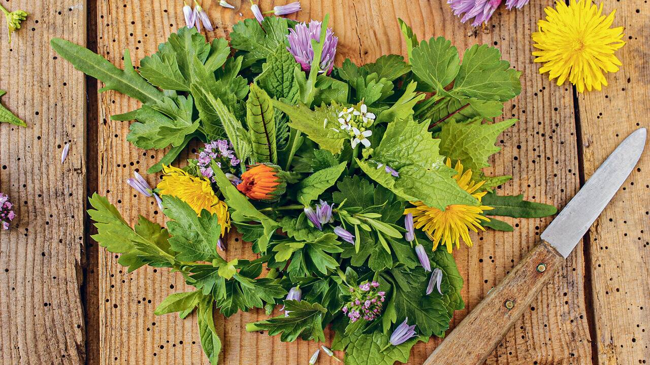 In Pflanzen steckt oft mehr, als wir denken. In Pflanzen steckt oft mehr, als wir denken.