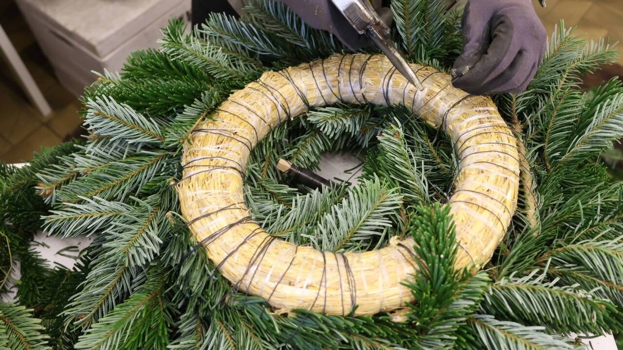 Der Draht wird danach abgezwickt. 