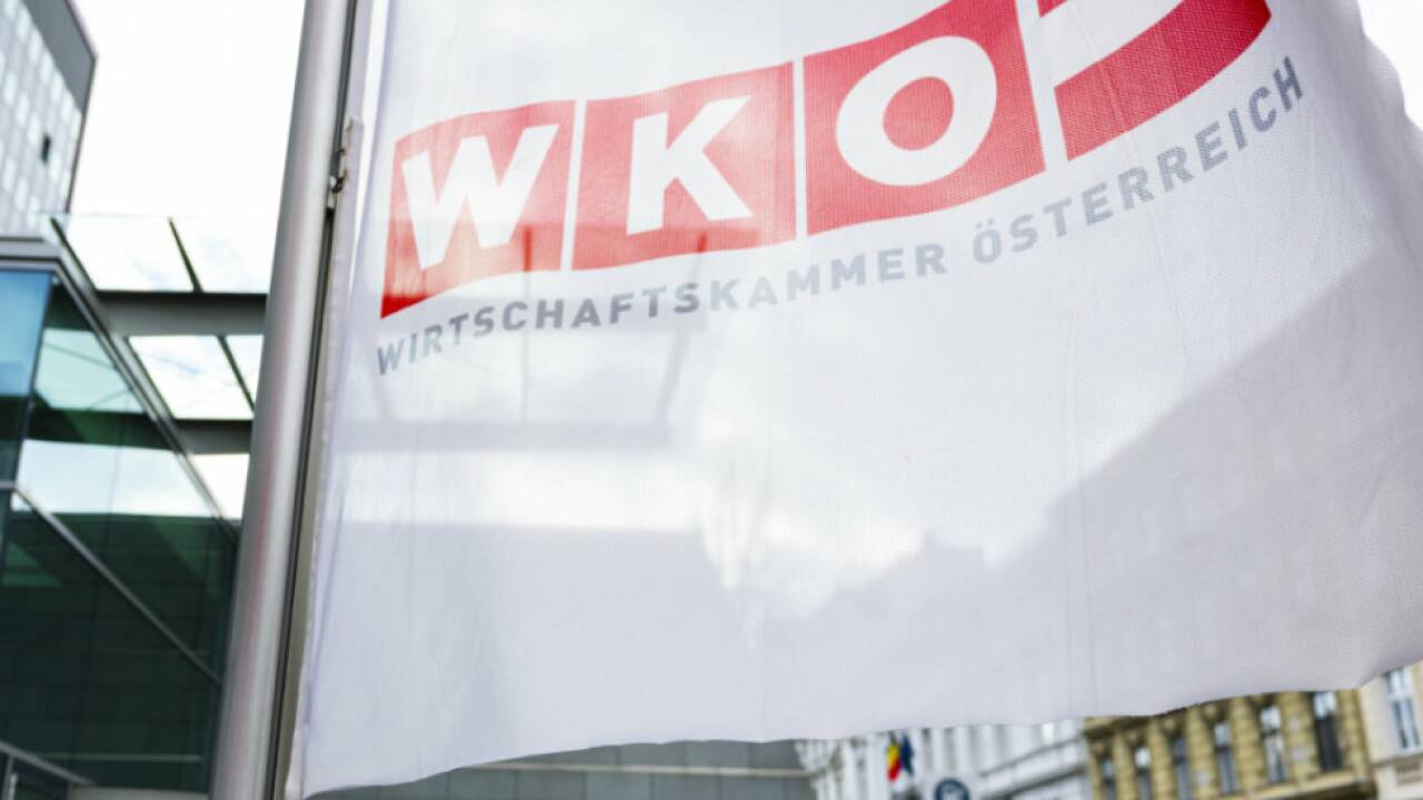 Wirtschaftskammer interessiert auch den Nationalrat 
