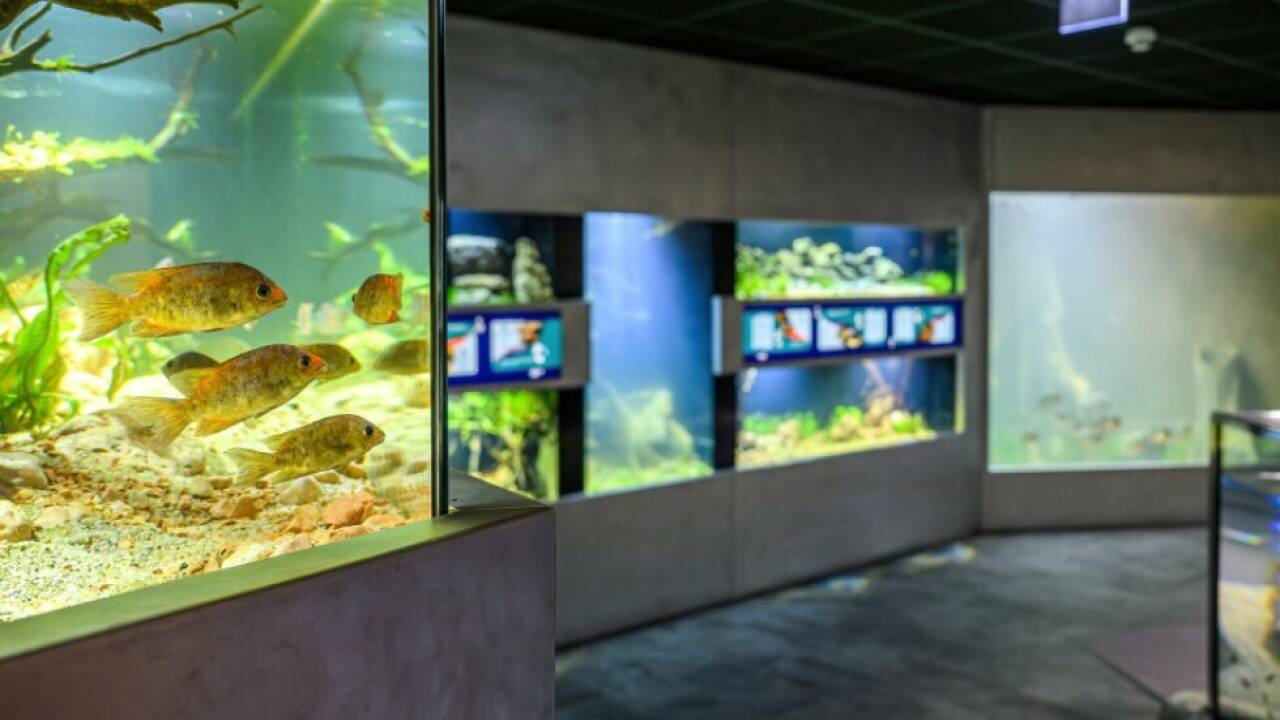 Jedes Becken erzählt eine eigene Geschichte 