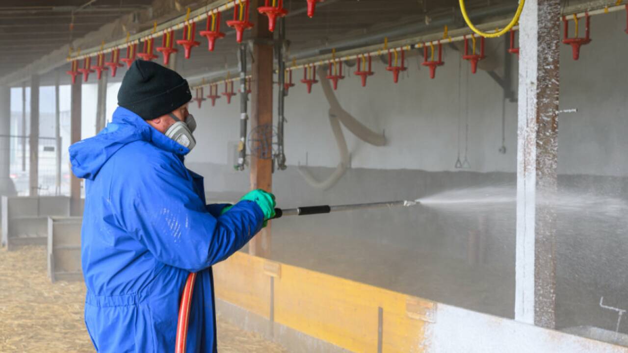 Die Tiere wurden gekeult, der Betrieb desinfiziert Die Tiere wurden gekeult, der Betrieb desinfiziert