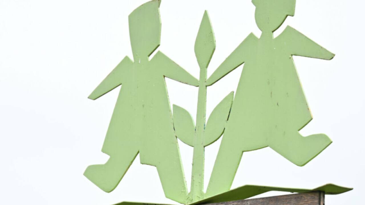 Strukturen von SOS-Kinderdorf im Wanken 