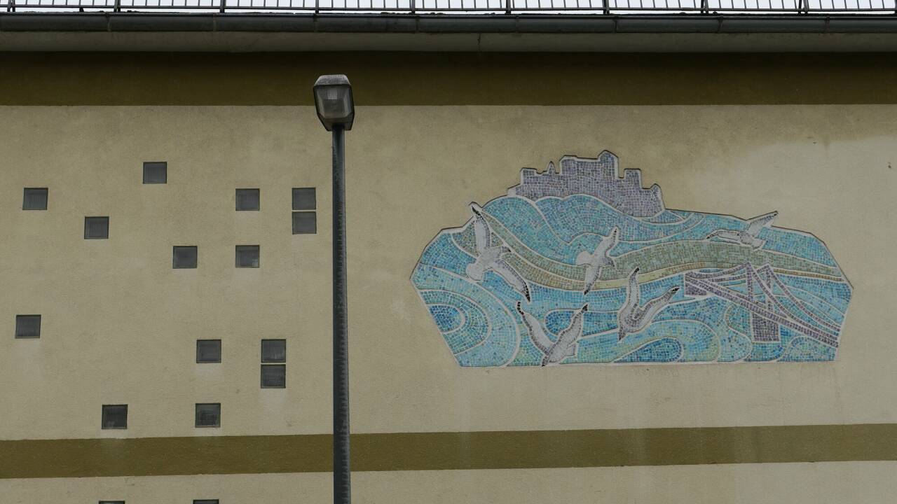 Möwen im Flug. Möwen im Flug.