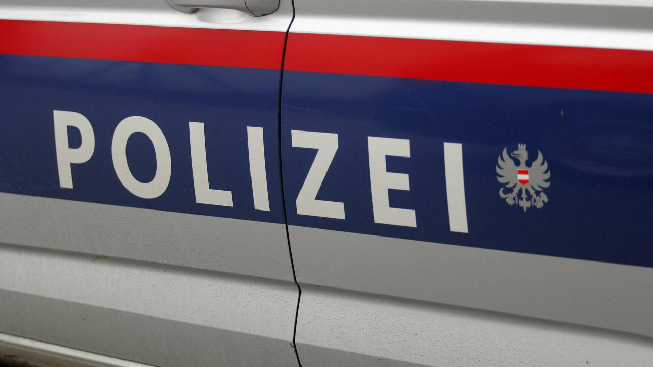 Vier junge Männer verübten laut Polizei in unterschiedlichen Konstellationen mehr als 60 Einbrüche oder Diebstähle.  