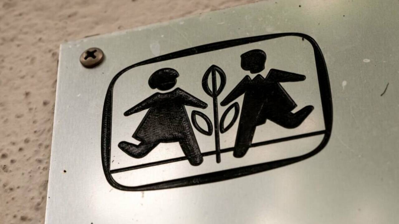 ++ ARCHIVBILD ++ Auch Hinweise in Österreich werden geprüft 