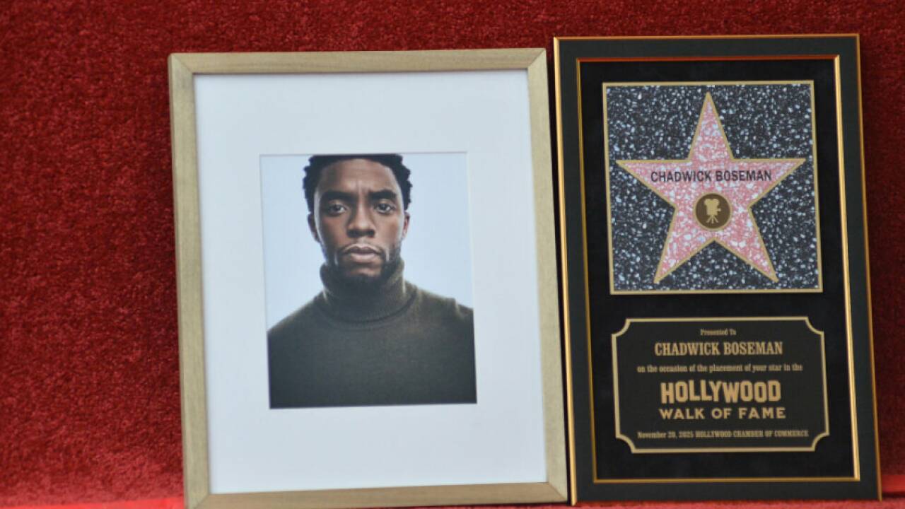 'Black Panther'-Star starb 2020 an Krebs 