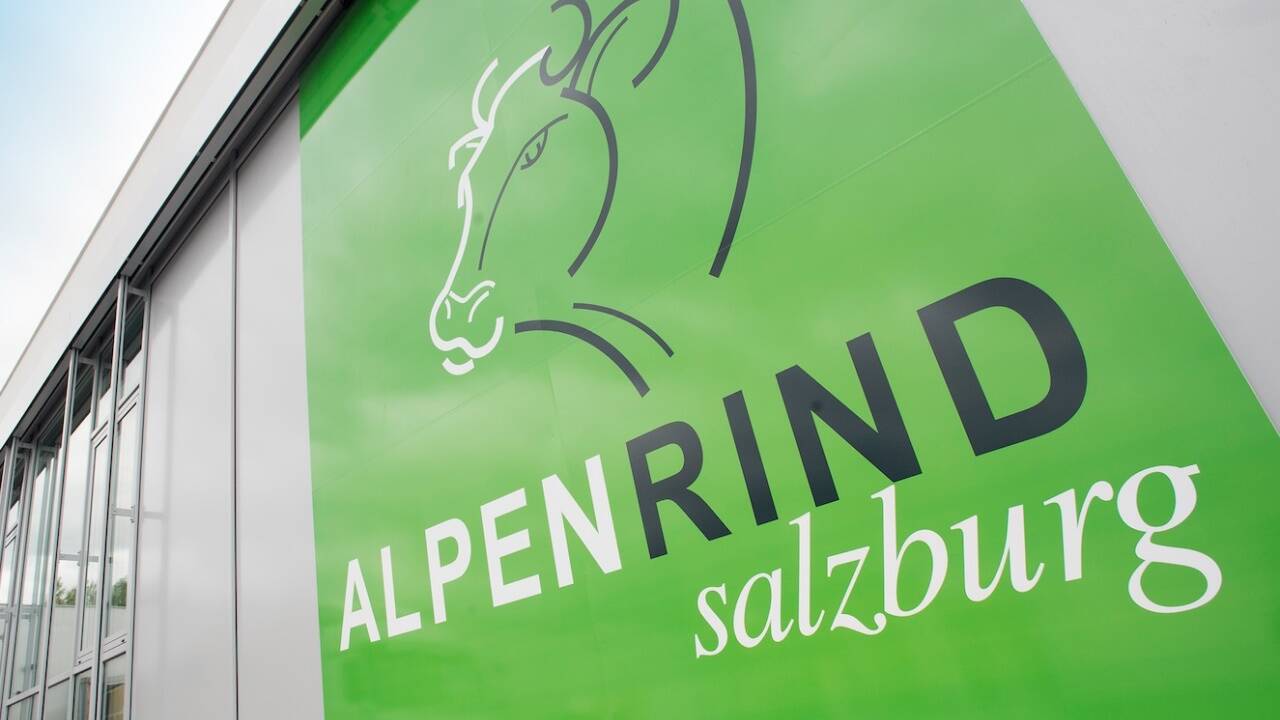 Viel investiert, neue Arbeitsplätze geschaffen und beim Umsatz kräftig zugelegt: Die Alpenrind Salzburg GmbH feiert mit stolz geschwellter Brust ihr 10-jähriges Firmenjubiläum.  