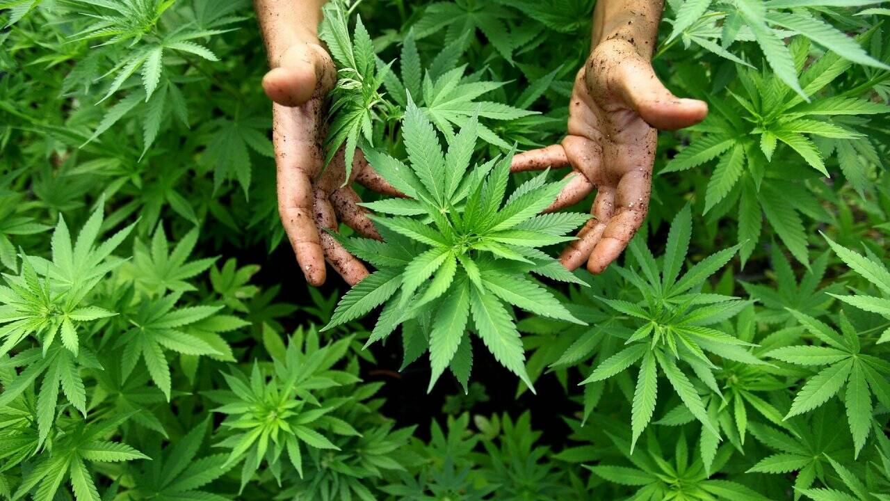 Großbrand in St. Gilgen führt zu Cannabis-Plantage