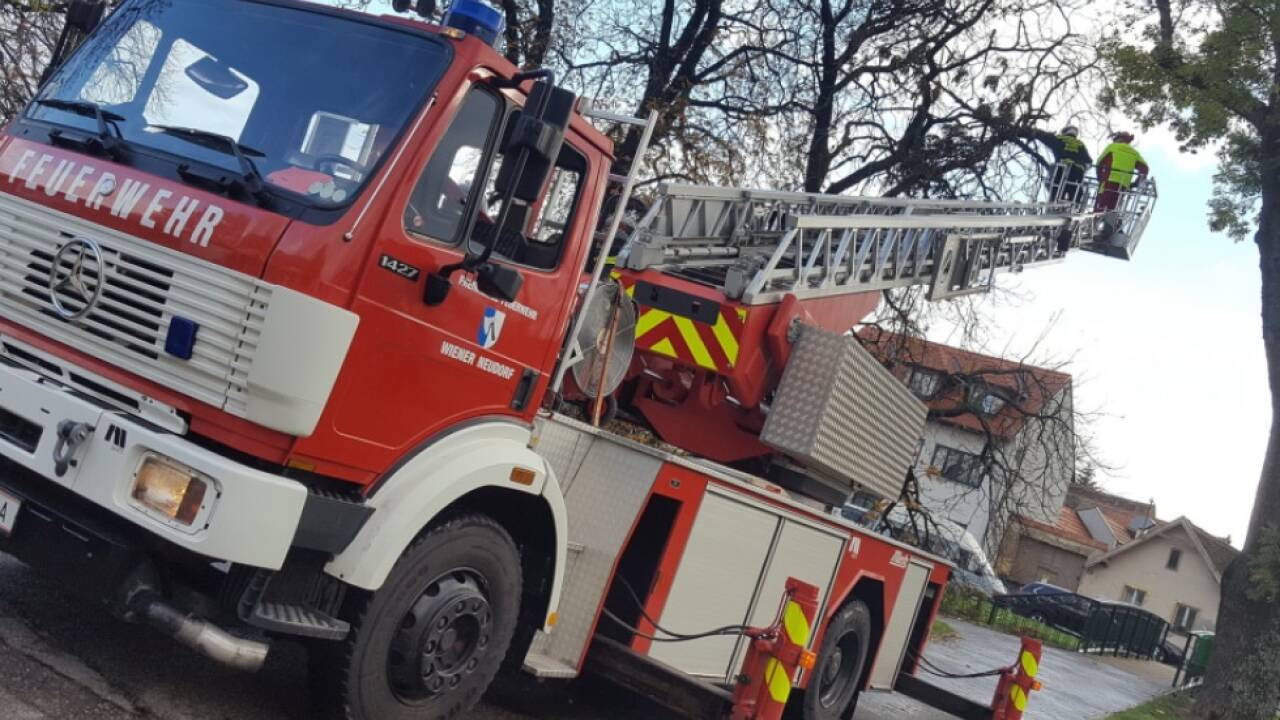Erste Einsätze wegen des Sturms in NÖ | SN.at
