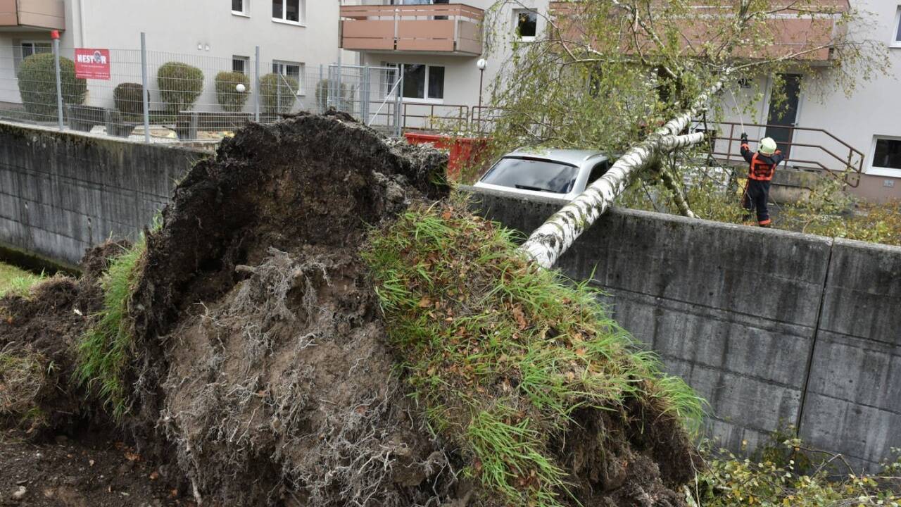 Bilder vom stürmischen Sonntag: Eine Birke war an der Salzburger Moosstraße auf ein Auto und ein Wohnhaus gestürzt. 