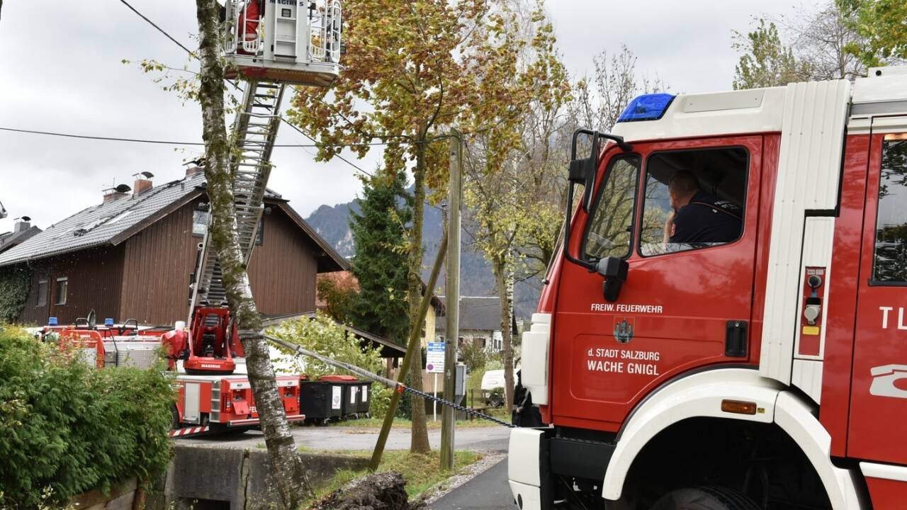  In Gnigl mussten mehrere entwurzelte Bäume entfernt werden. 