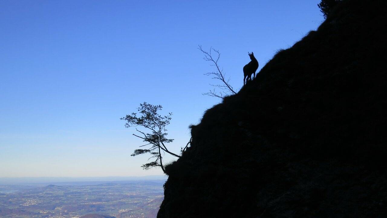 Auftanken am Untersberg
