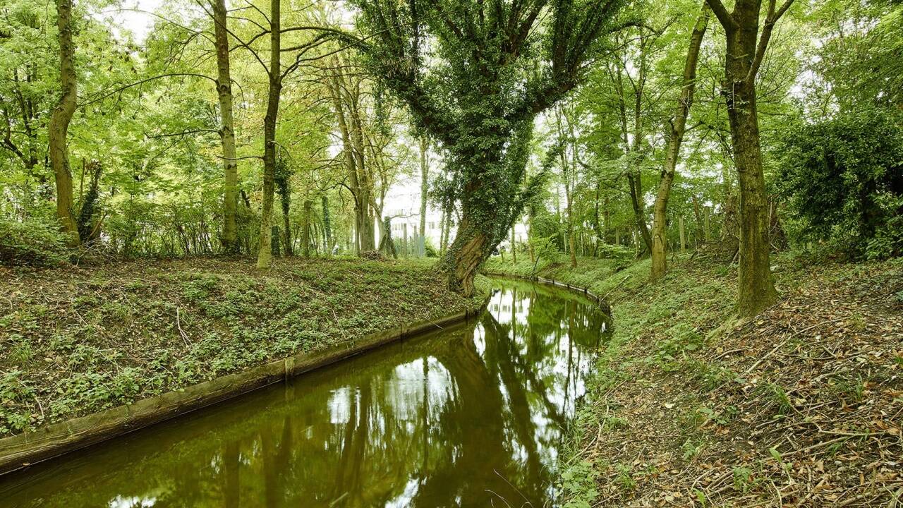 Trotzdem soll das Gelände, das vom Glanbach durchflossen wird, weiter möglichst grün bleiben, heißt es.  