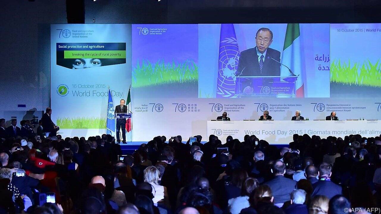 WFP rief zum Einsatz für WFP rief zum Einsatz für