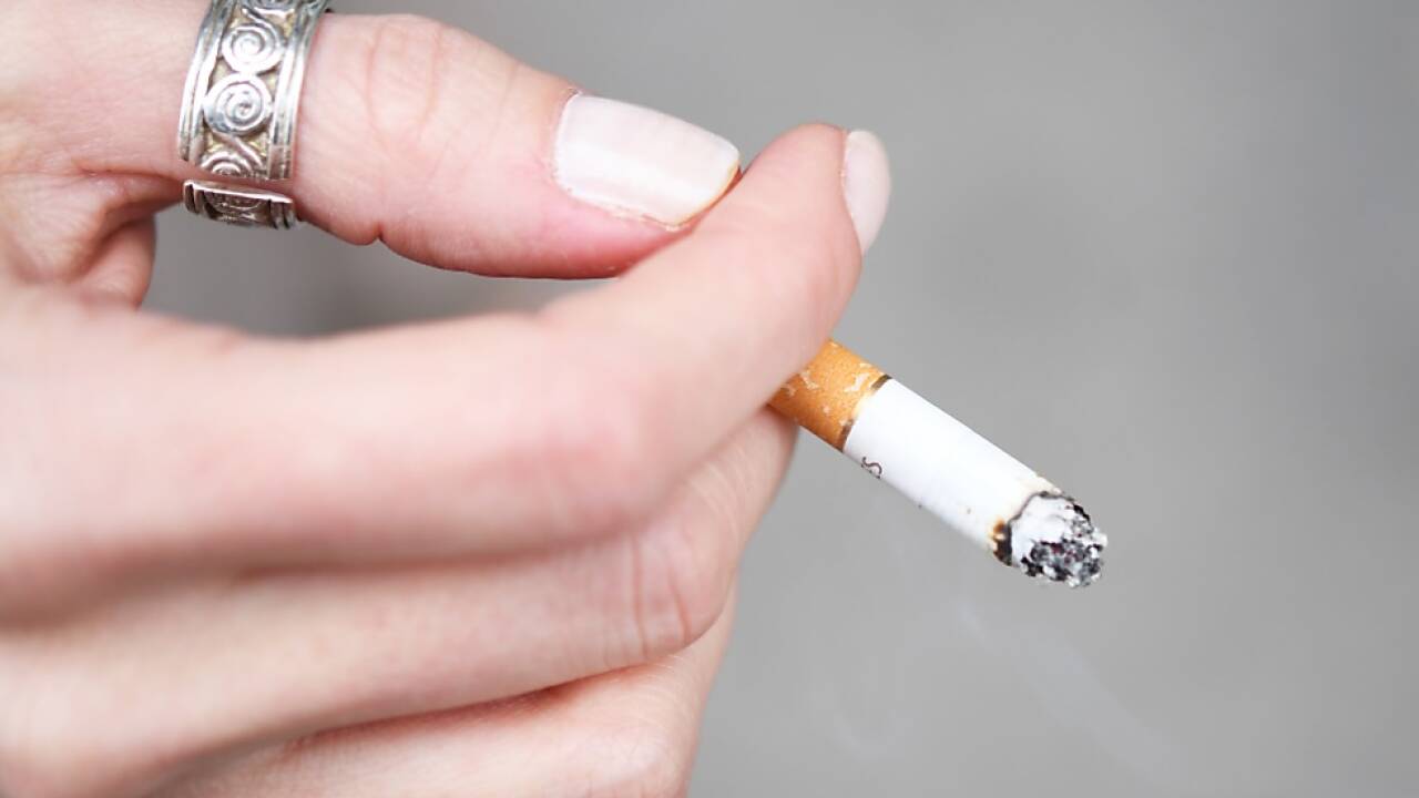 In der Causa wurde ein offener Brief an Sebastian Kurz verschickt  In der Causa wurde ein offener Brief an Sebastian Kurz verschickt